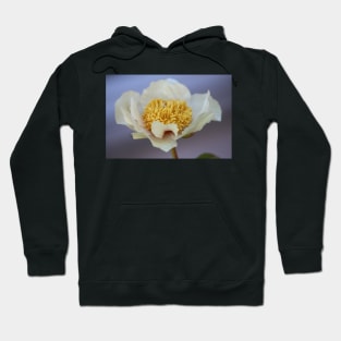 Peony Hoodie